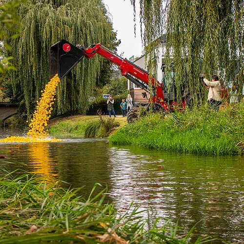 Wilde Emma_2023_Jonas Pscherer_IMG_8914 wilde-emma_2023_jonas-pscherer_img_8914