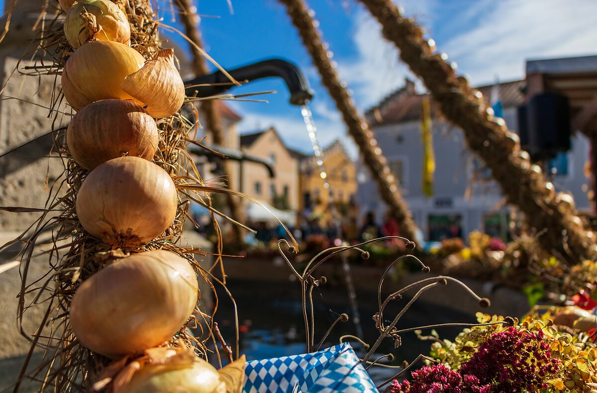 Zwiebelmarkt_2022_Andrea Diegel_IMG_0085